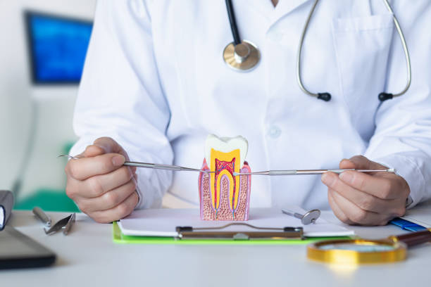 Best Pediatric Emergency Dentist in Maple Bluff, WI
